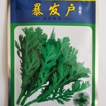 茼蒿种子产量高香味浓割茬春菊种子中小叶茼蒿种籽四季种植