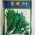 茼蒿种子产量高香味浓割茬春菊种子中小叶茼蒿种籽四季种植