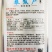 茼蒿种子产量高香味浓割茬春菊种子中小叶茼蒿种籽四季种植