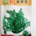 皇帝菜种子割茬火锅菜蔬菜种籽四季种植生长速度快