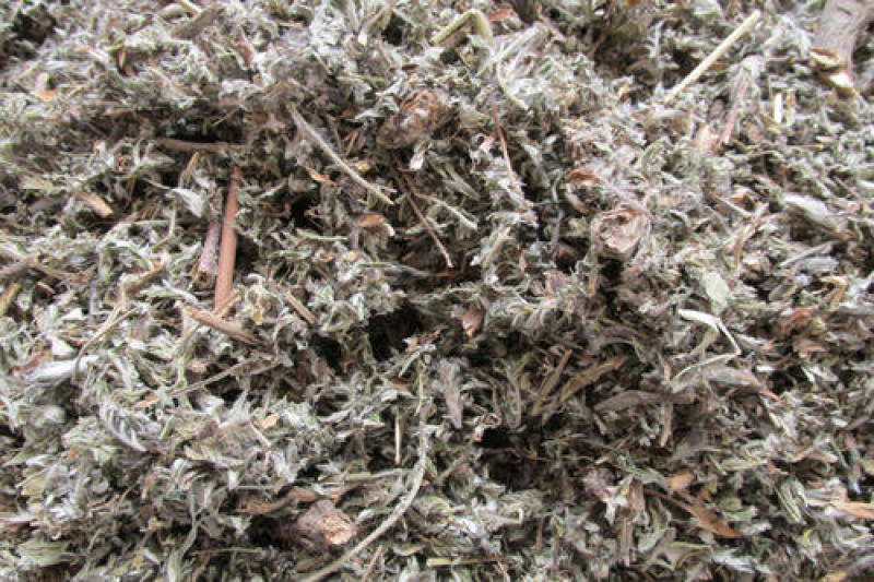 翻白草，正品野生新货翻白草，经营各种中药材欢迎咨询选购