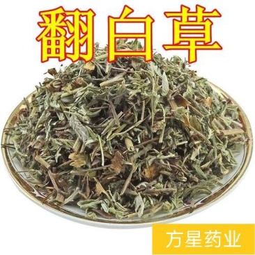 翻白草，正品野生新货翻白草，经营各种中药材欢迎咨询选购