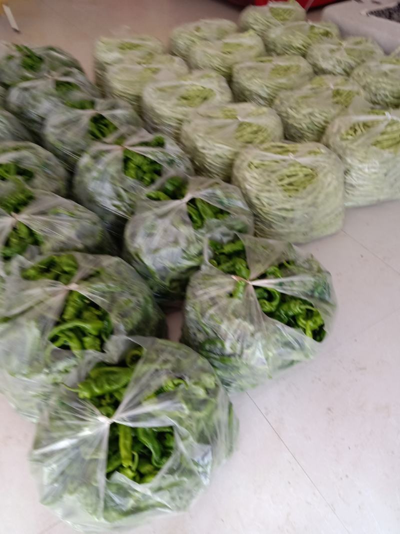 螺丝椒