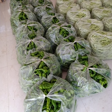 螺丝椒