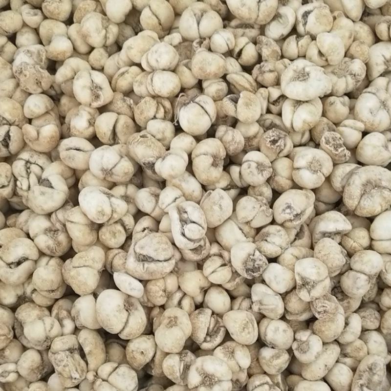 贝母干货浙贝母湖北贝母量大从优欢迎选购！