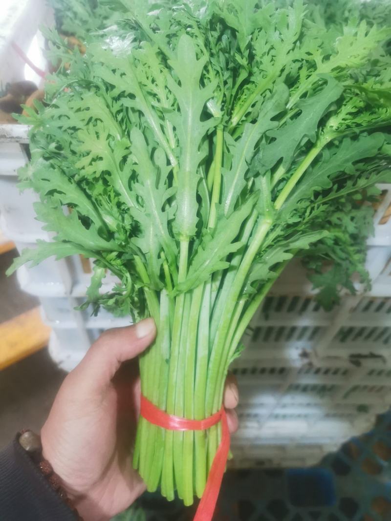 寿光光杆茼蒿皇帝菜产地直发量大供应