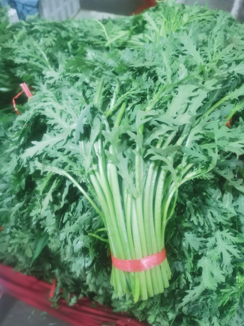 寿光光杆茼蒿皇帝菜产地直发量大供应
