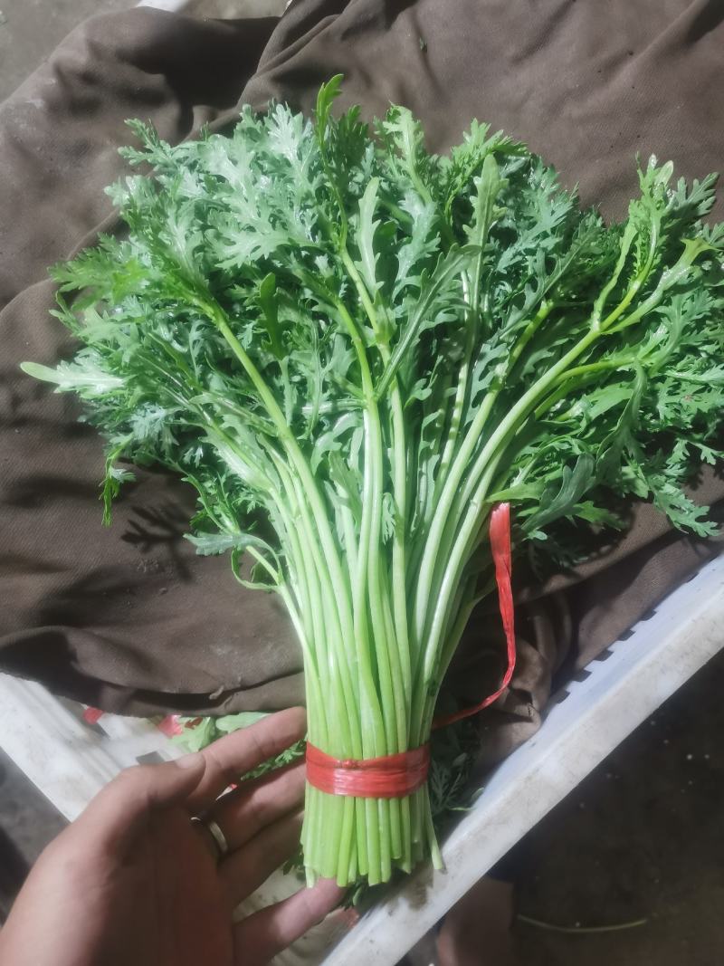 寿光光杆茼蒿皇帝菜产地直发量大供应