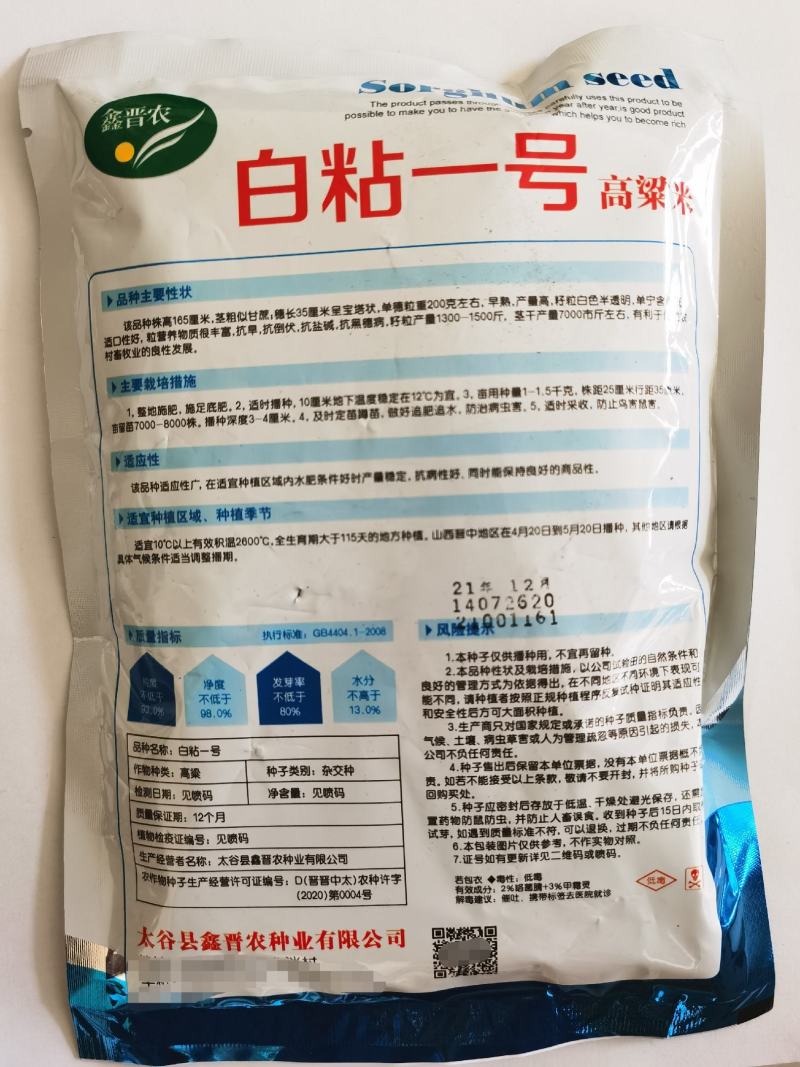 白粘一号高粱种子高粱种籽籽粒白透明高粱米种子