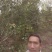 我家想卖茶果生的