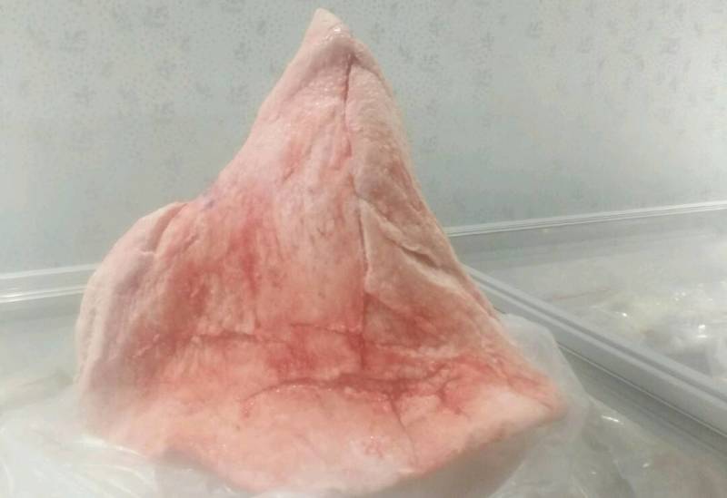 骆驼峰肉骆驼沙漠中背上的干粮