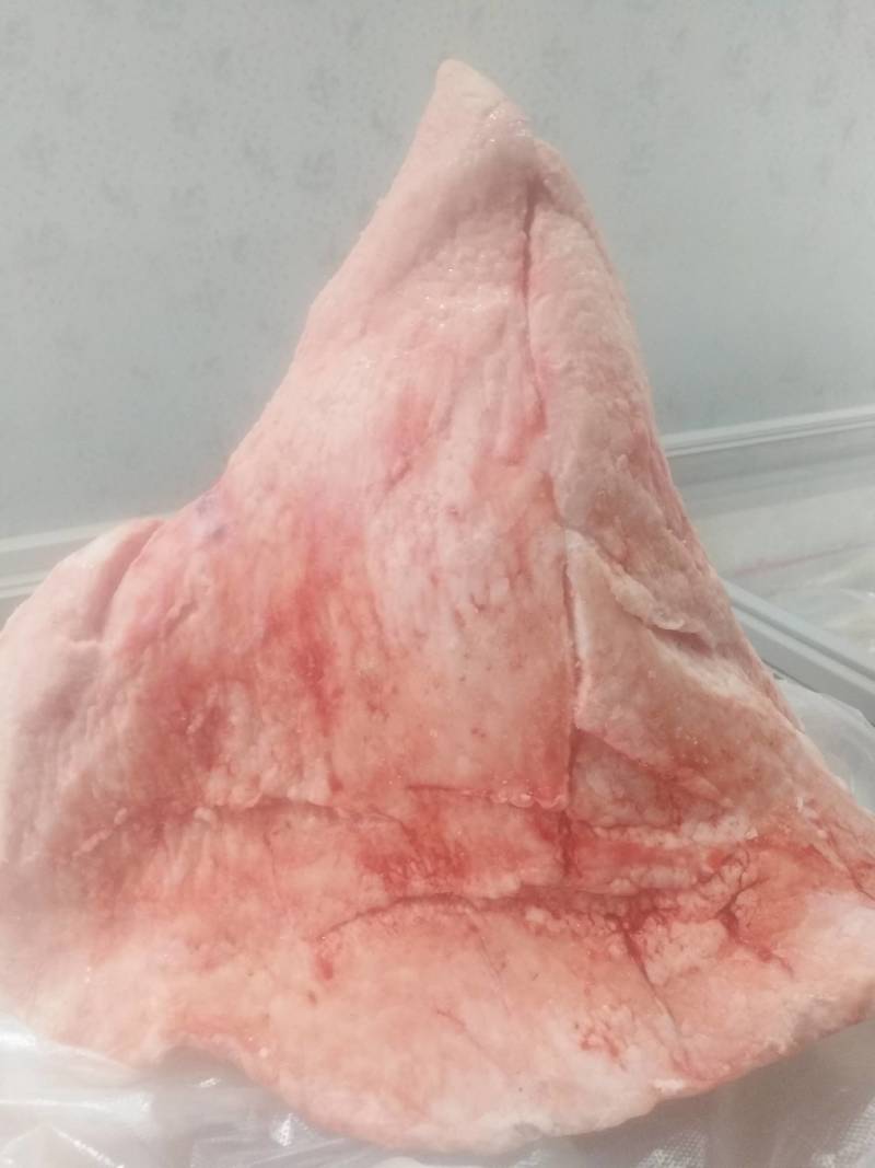 骆驼峰肉骆驼沙漠中背上的干粮