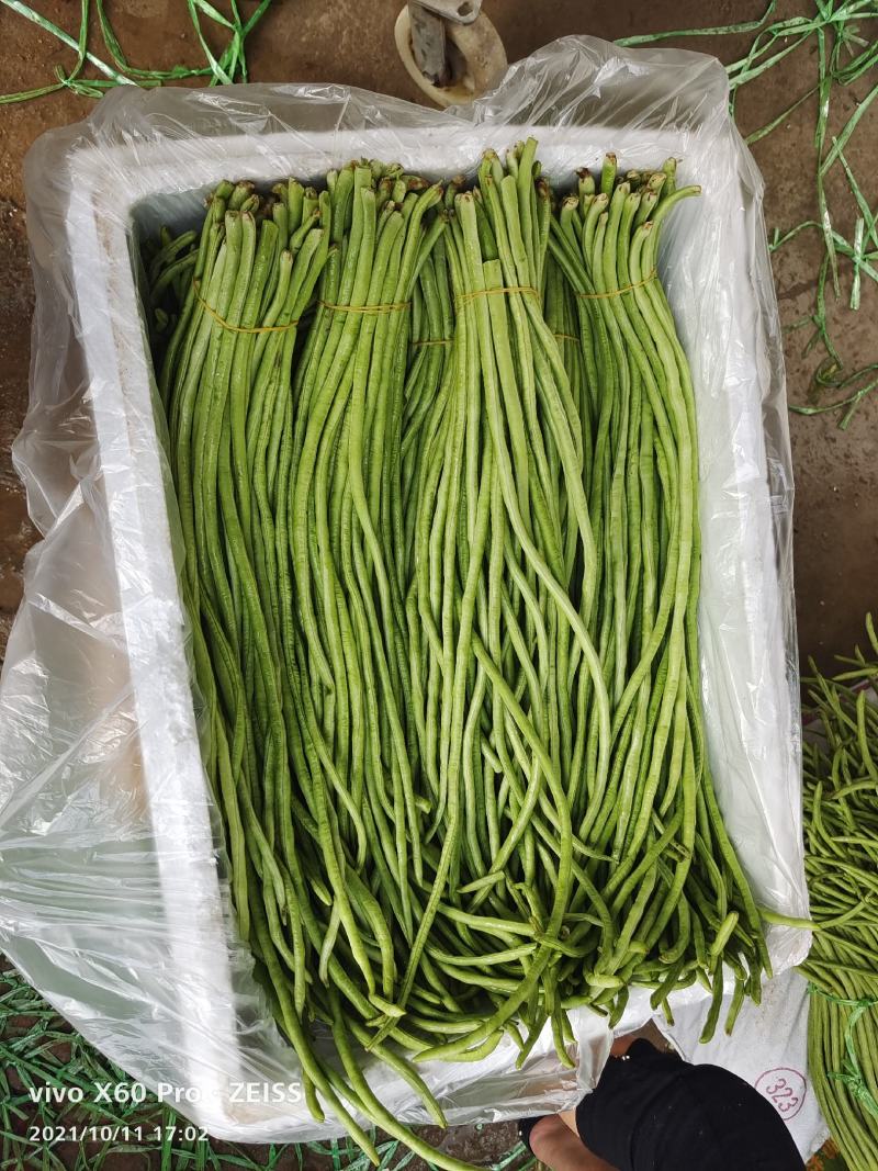 精品长豆角大量供应平台、产地直发，实力对接