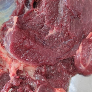 骆驼肉现宰无骨去皮瘦肉牧场直发