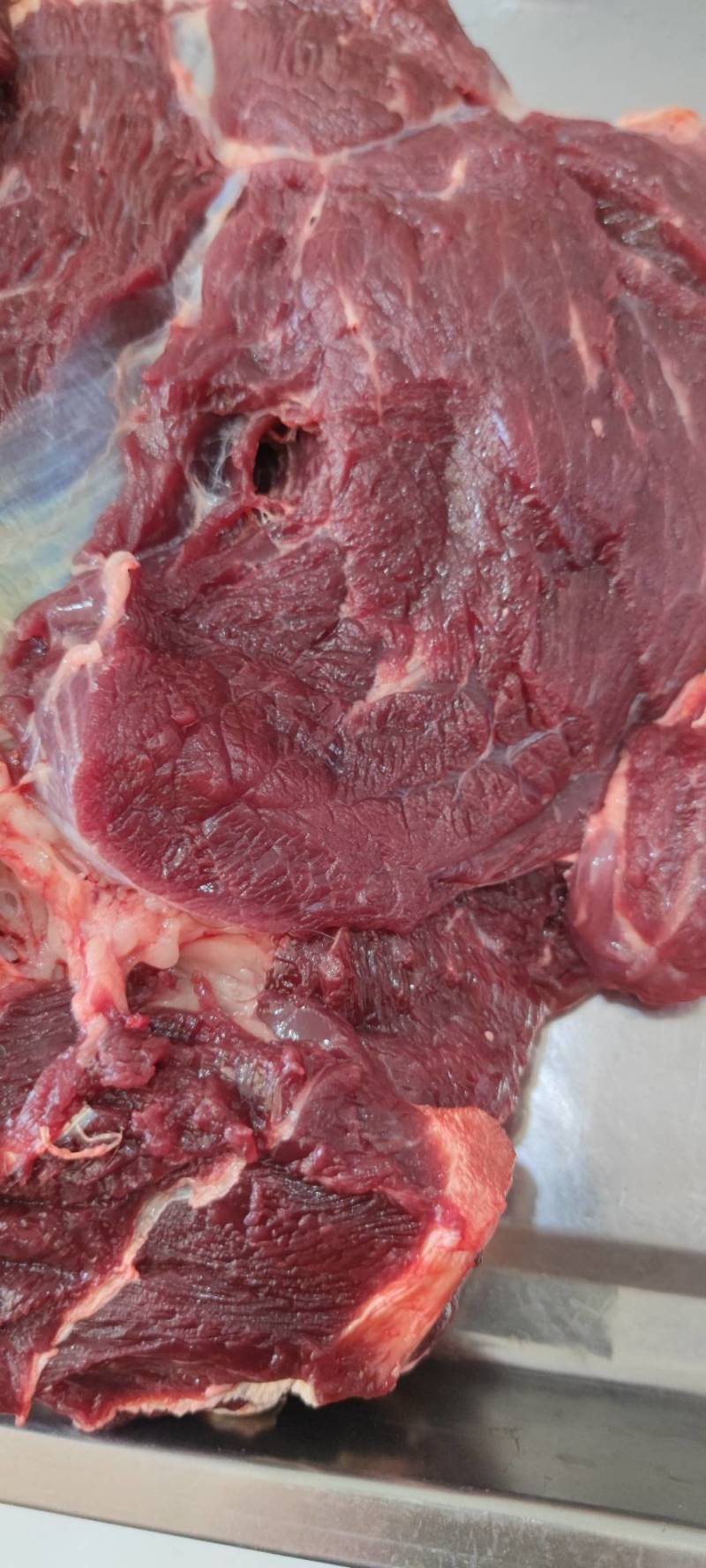 骆驼肉现宰无骨去皮瘦肉牧场直发