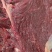 骆驼肉现宰无骨去皮瘦肉牧场直发