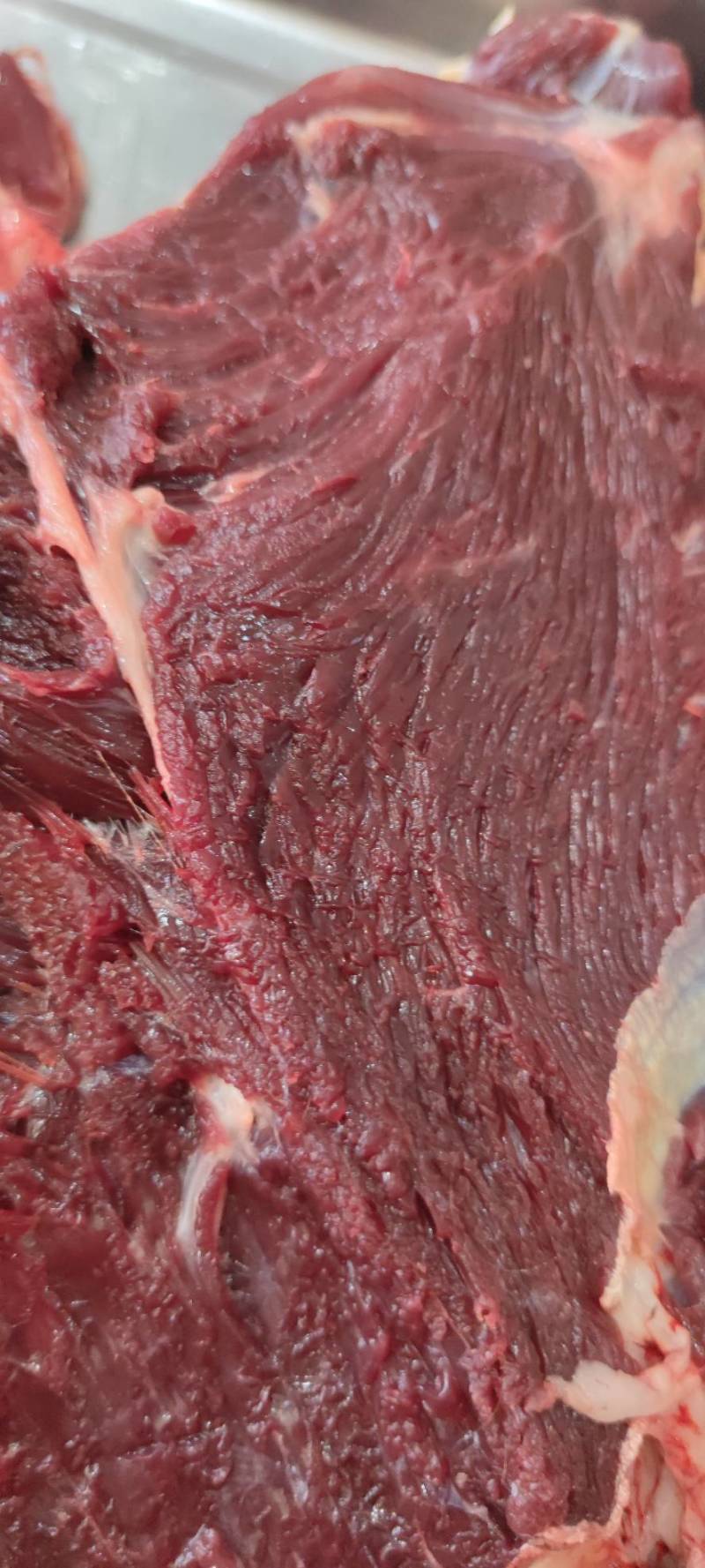 骆驼肉现宰无骨去皮瘦肉牧场直发