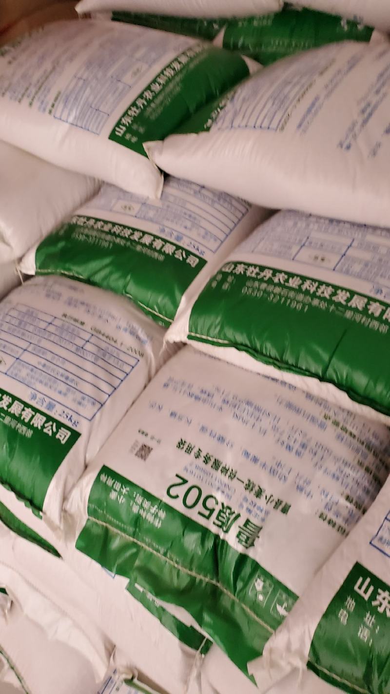 小麦，新到济麦22和鲁源502，质优价廉，欢迎种植大户选