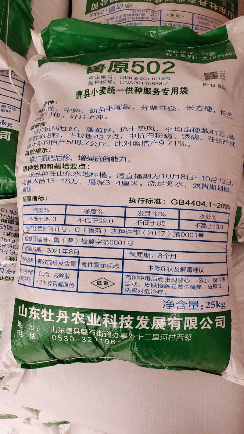 小麦，新到济麦22和鲁源502，质优价廉，欢迎种植大户选