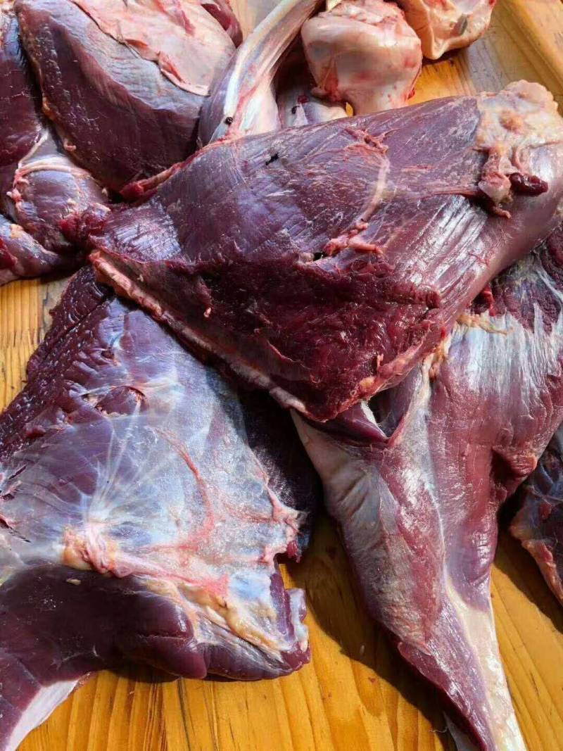 鸵鸟肉现宰鲜肉10斤起拍牧场直供