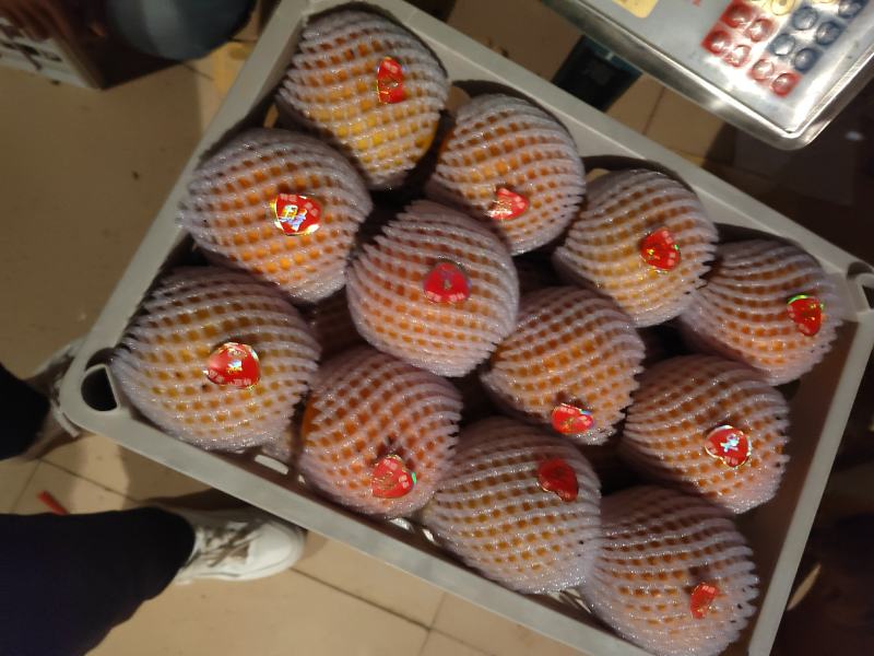 礼泉阳丰脆甜柿子大量上市，专业团队供应电商货市场货