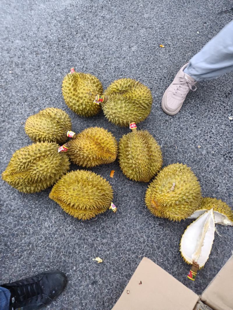 榴莲