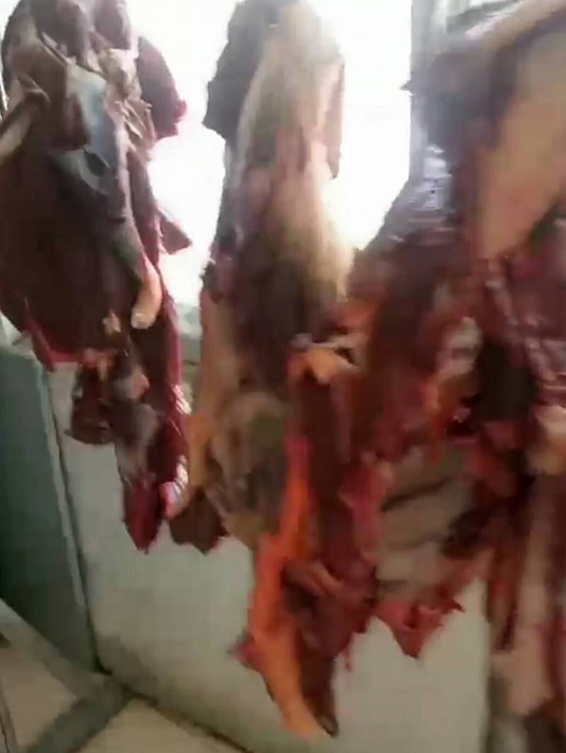 带骨带髓骆驼肉现宰切块十斤起拍