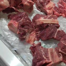 带骨带髓骆驼肉现宰切块十斤起拍