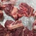 带骨带髓骆驼肉现宰切块十斤起拍