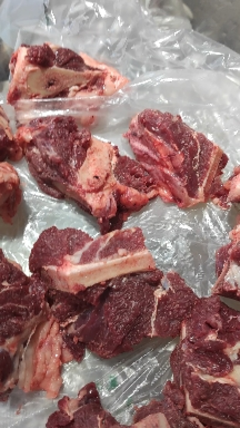 带骨带髓骆驼肉现宰切块十斤起拍