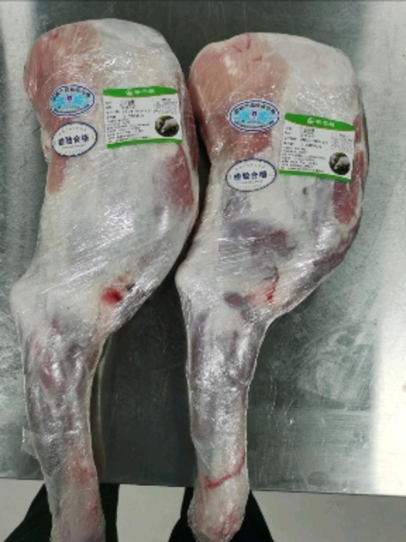精品羔羊前腿10公斤6条15公斤8条全国发货品质保证