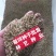 优质牧草种籽冰草种子别名野麦子扁穗冰草羽状小麦草多年生
