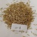 优质牧草种籽冰草种子别名野麦子扁穗冰草羽状小麦草多年生