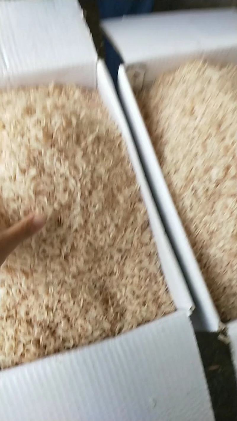 【热卖】辽宁虾皮厂家直发量大优惠可视频看货欢迎来电订购