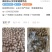 梅林大三角！梅林橄榄核原料供应一手货源批发零售