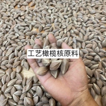梅林大三角！梅林橄榄核原料供应一手货源批发零售