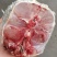 鳄鱼苗，鳄鱼肉