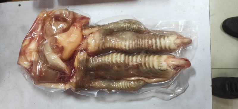 酒店特色菜，鸵鸟掌