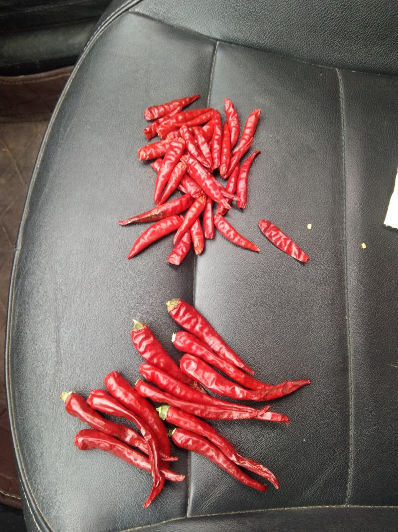 优质干朝天椒，颜色好，极辣，