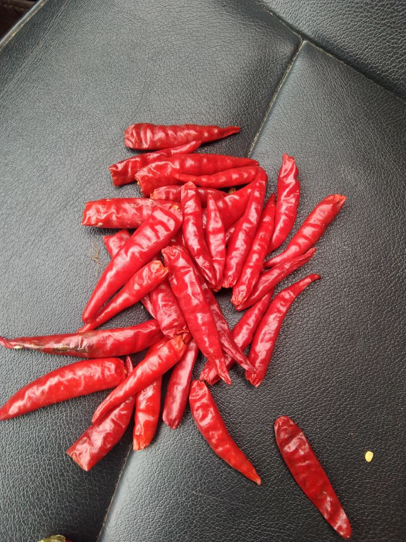 优质干朝天椒，颜色好，极辣，