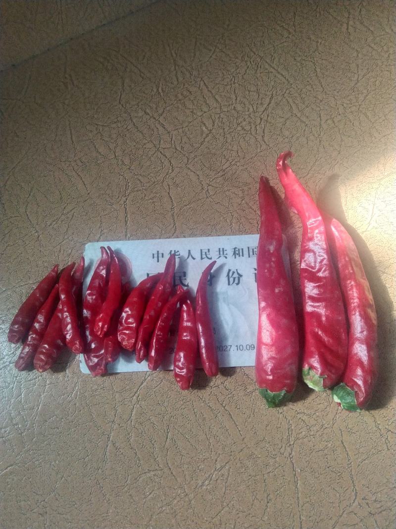 优质干朝天椒，颜色好，极辣，