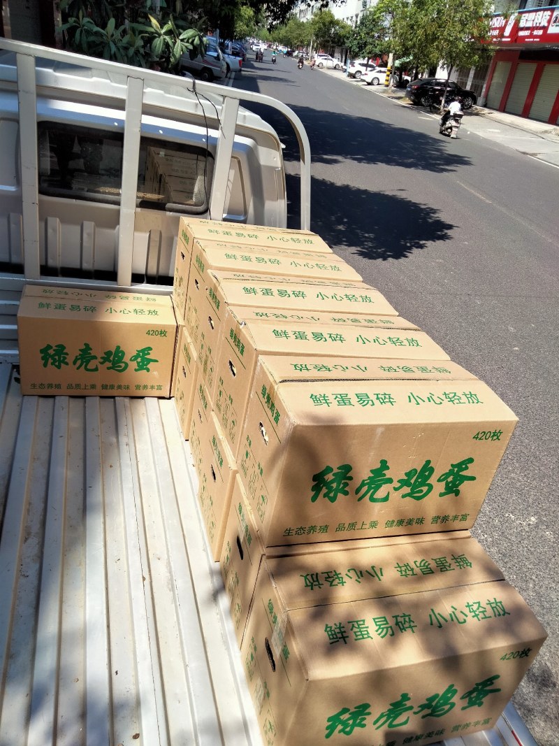 上塆冲生态养殖场散养绿壳土鸡蛋