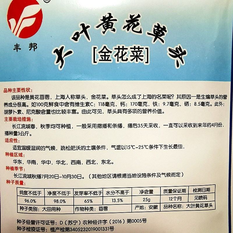 金花菜种子，该品种是黄花苜蓿，上海人称草头,金花菜