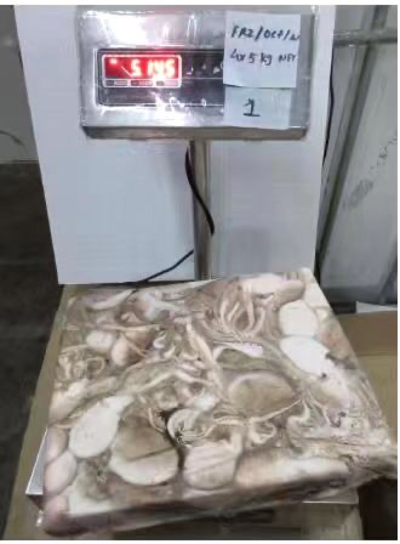 章鱼原料