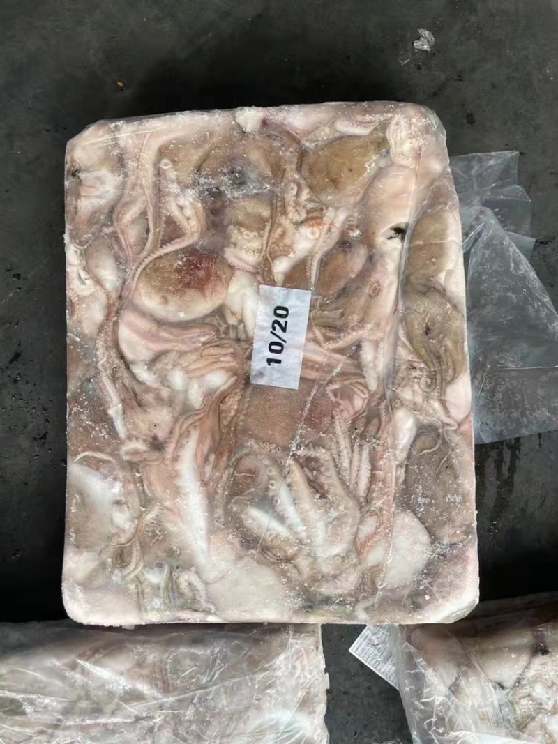 章鱼原料