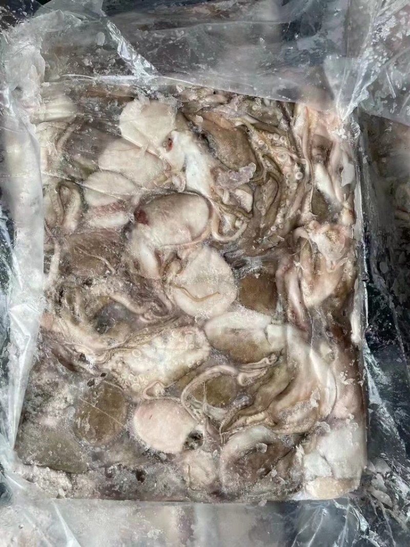 章鱼原料