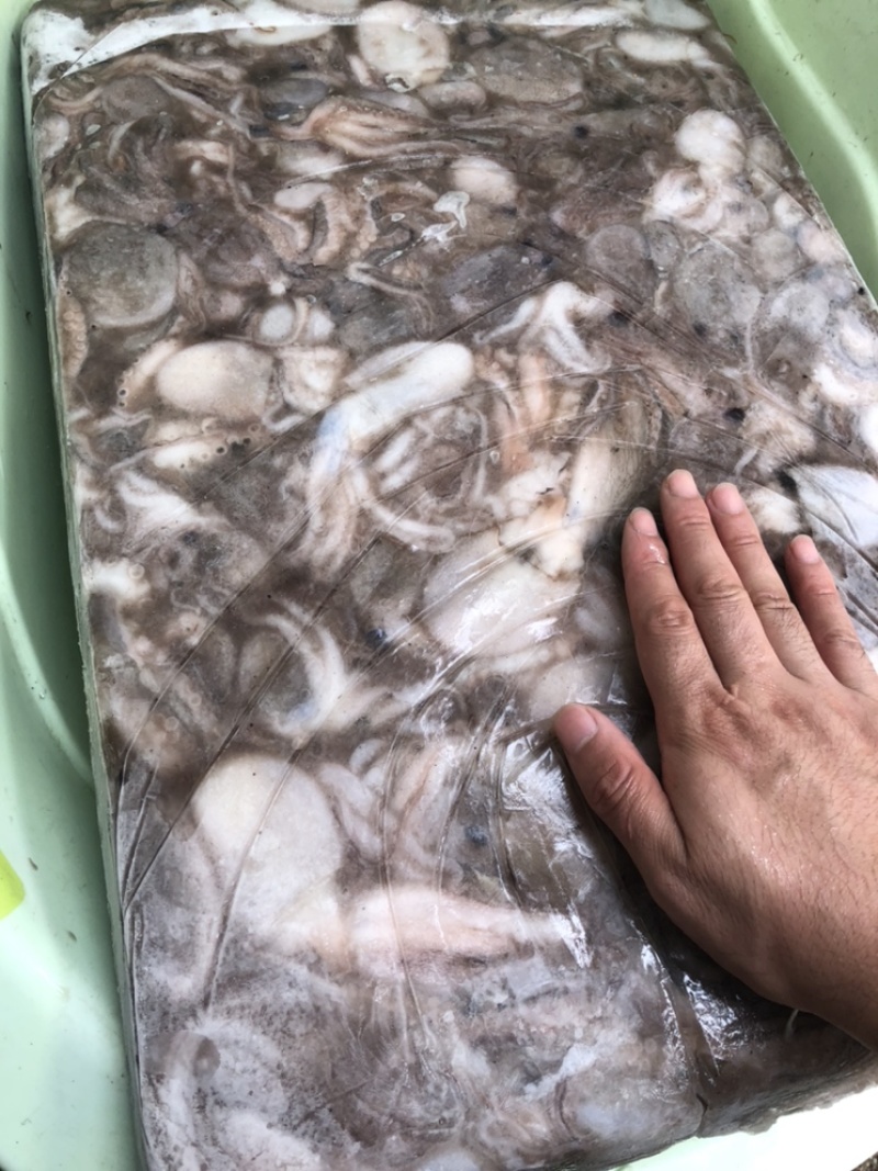 章鱼原料