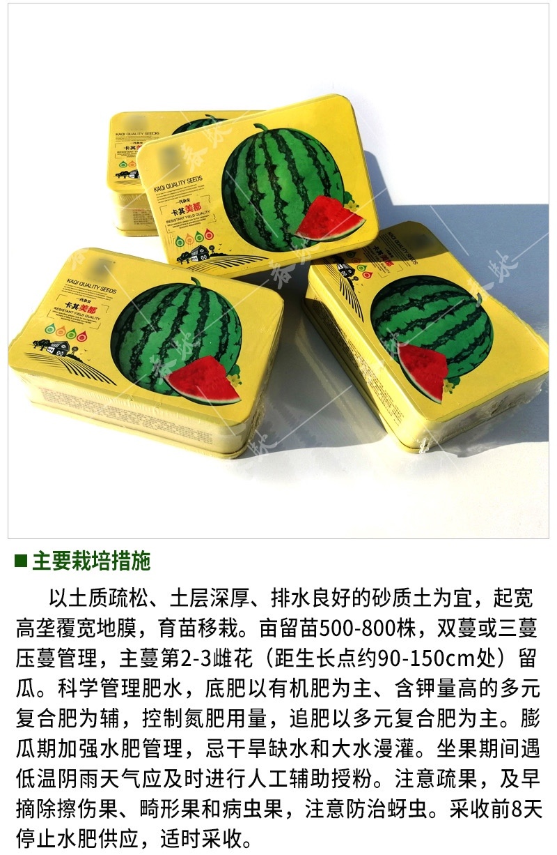 卡其美都西瓜种子改良美都耐裂8424麒麟西瓜早熟耐病