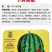 卡其美都西瓜种子改良美都耐裂8424麒麟西瓜早熟耐病