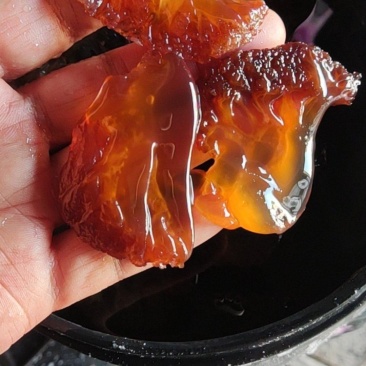 渤海野生面蜇头，中叶中角，价格美丽